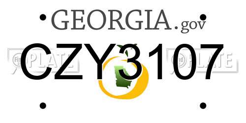 CZY3107 Georgia License Plate