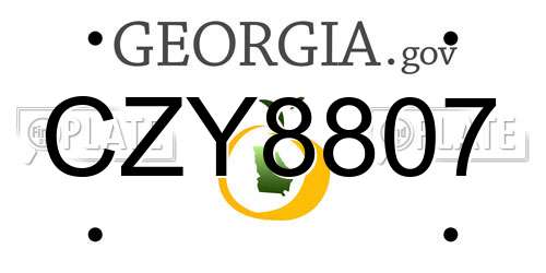 CZY8807 Georgia License Plate