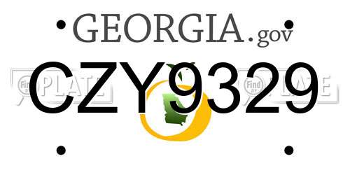 CZY9329 Georgia License Plate