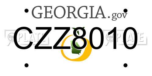 CZZ8010 Georgia License Plate