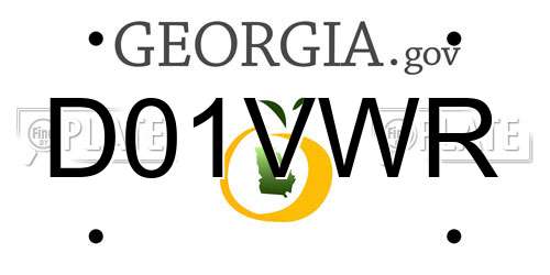 D01VWR Georgia License Plate