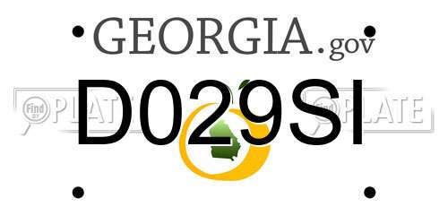 D029SI Georgia License Plate