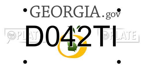 D042TI Georgia License Plate