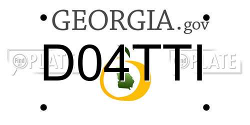 D04TTI Georgia License Plate