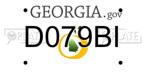 D079BI Georgia License Plate