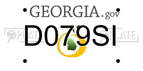 D079SI Georgia License Plate