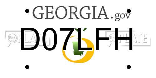 D07LFH Georgia License Plate