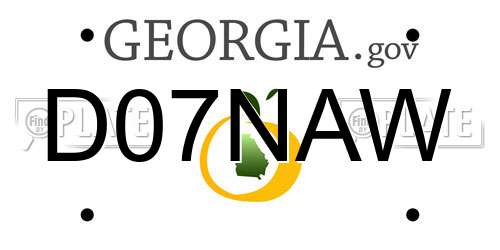 D07NAW Georgia License Plate