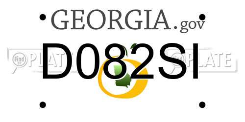 D082SI Georgia License Plate