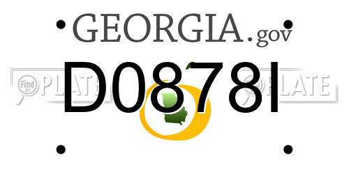 D0878I Georgia License Plate