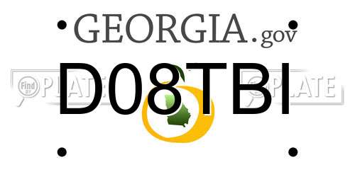 D08TBI Georgia License Plate