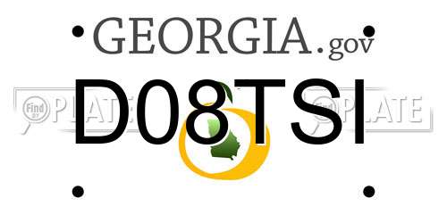 D08TSI Georgia License Plate