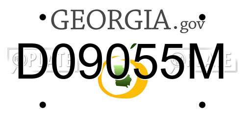 D09055M Georgia License Plate