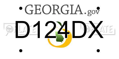 D124DX Georgia License Plate