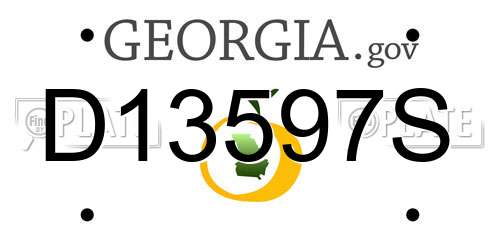 D13597S Georgia License Plate