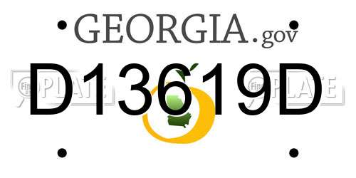 D13619D Georgia License Plate