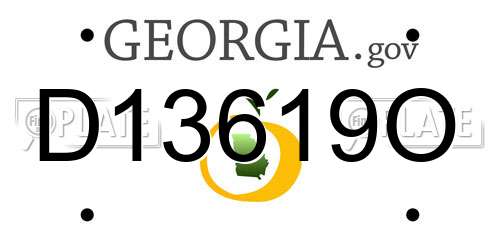 D13619O Georgia License Plate