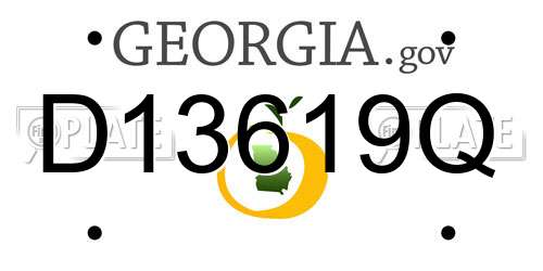 D13619Q Georgia License Plate