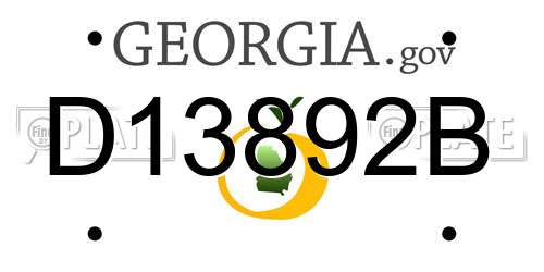 D13892B Georgia License Plate
