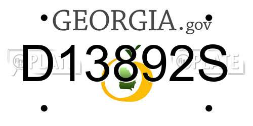 D13892S Georgia License Plate