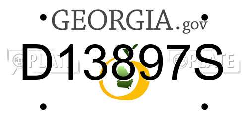 D13897S Georgia License Plate