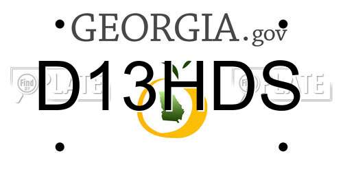 D13HDS Georgia License Plate