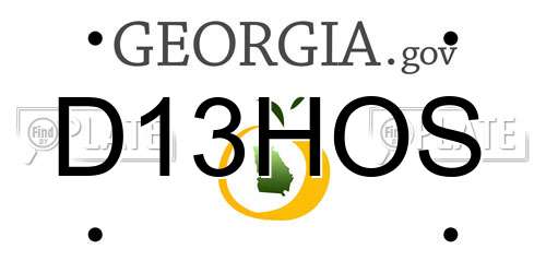 D13HOS Georgia License Plate