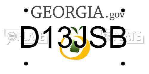 D13JSB Georgia License Plate