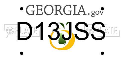 D13JSS Georgia License Plate