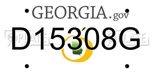 D15308G Georgia License Plate