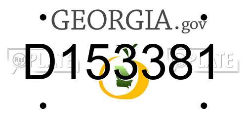 D153381 Georgia License Plate