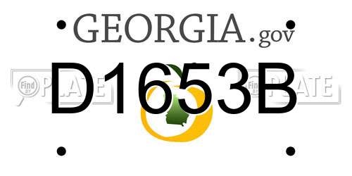 D1653B Georgia License Plate