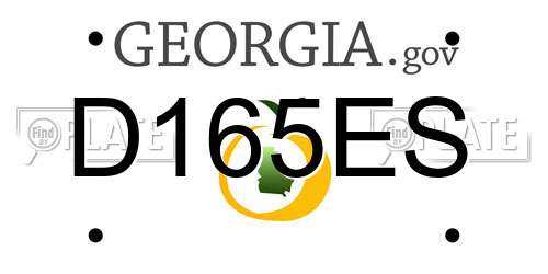 D165ES Georgia License Plate