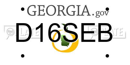 D16SEB Georgia License Plate