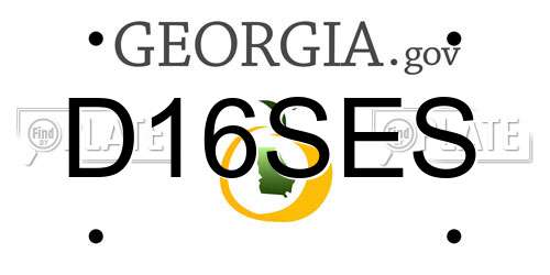 D16SES Georgia License Plate