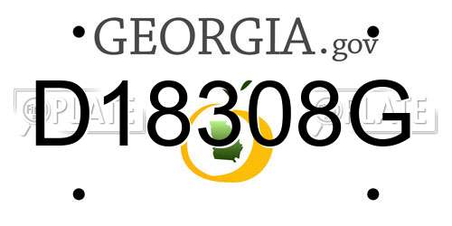 D18308G Georgia License Plate