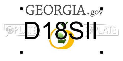 D18SII Georgia License Plate