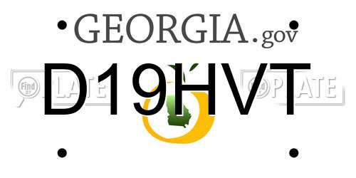 D19HVT Georgia License Plate