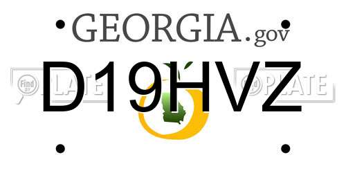 D19HVZ Georgia License Plate