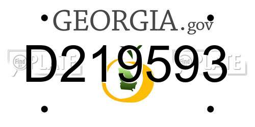 D219593 Georgia License Plate