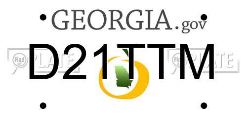 D21TTM Georgia License Plate