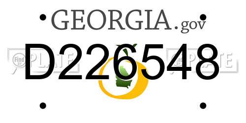 D226548 Georgia License Plate