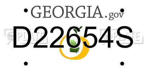 D22654S Georgia License Plate