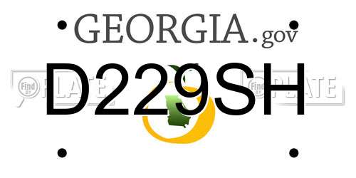 D229SH Georgia License Plate