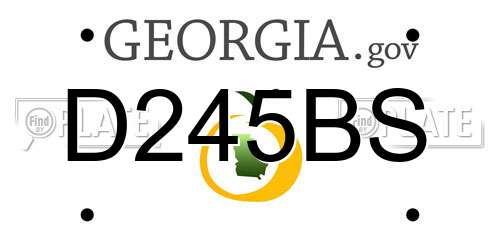 D245BS Georgia License Plate