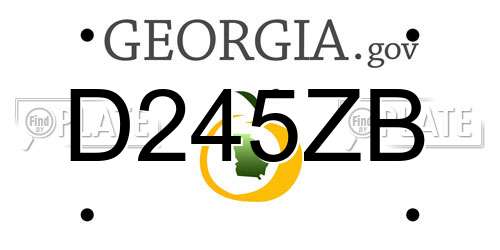 D245ZB Georgia License Plate