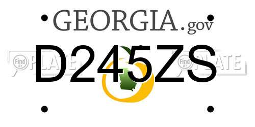 D245ZS Georgia License Plate