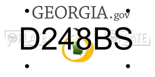D248BS Georgia License Plate