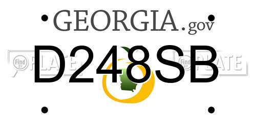 D248SB Georgia License Plate
