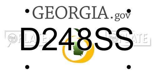 D248SS Georgia License Plate
